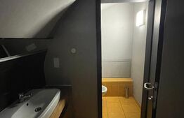 Spatiu comercial, suprafata 200 mp, Ultracentral