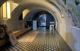 Spatiu comercial, suprafata 200 mp, Ultracentral