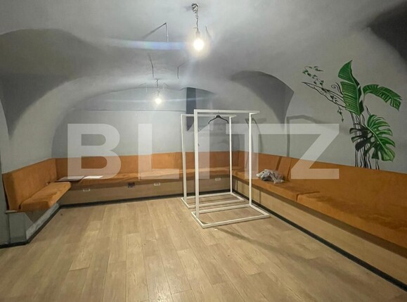 Spațiu comercial de închiriat Central - 120355SIC | BLITZ Timișoara | Poza3