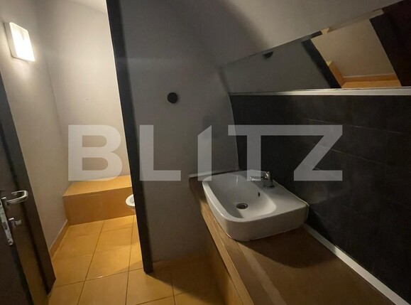 Spațiu comercial de închiriat Central - 120355SIC | BLITZ Timișoara | Poza11