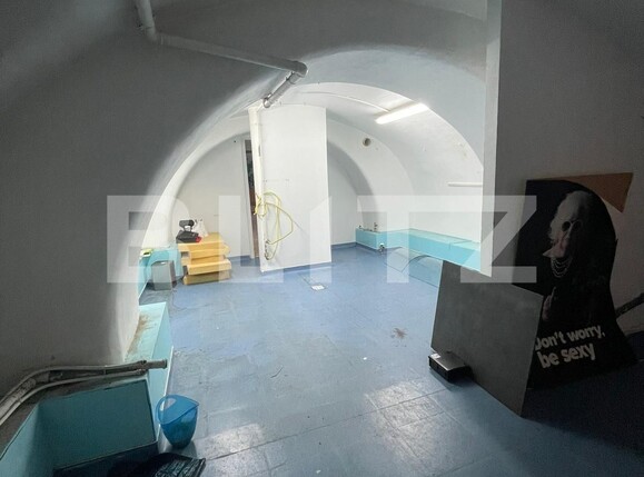 Spațiu comercial de închiriat Central - 120355SIC | BLITZ Timișoara | Poza5