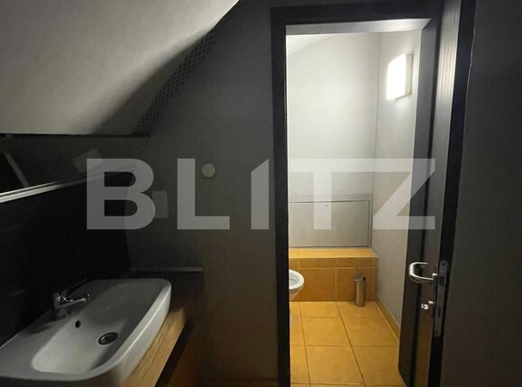 Spațiu comercial de închiriat Central - 120355SIC | BLITZ Timișoara | Poza10