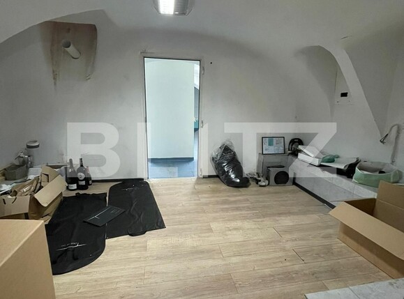 Spațiu comercial de închiriat Central - 120355SIC | BLITZ Timișoara | Poza4