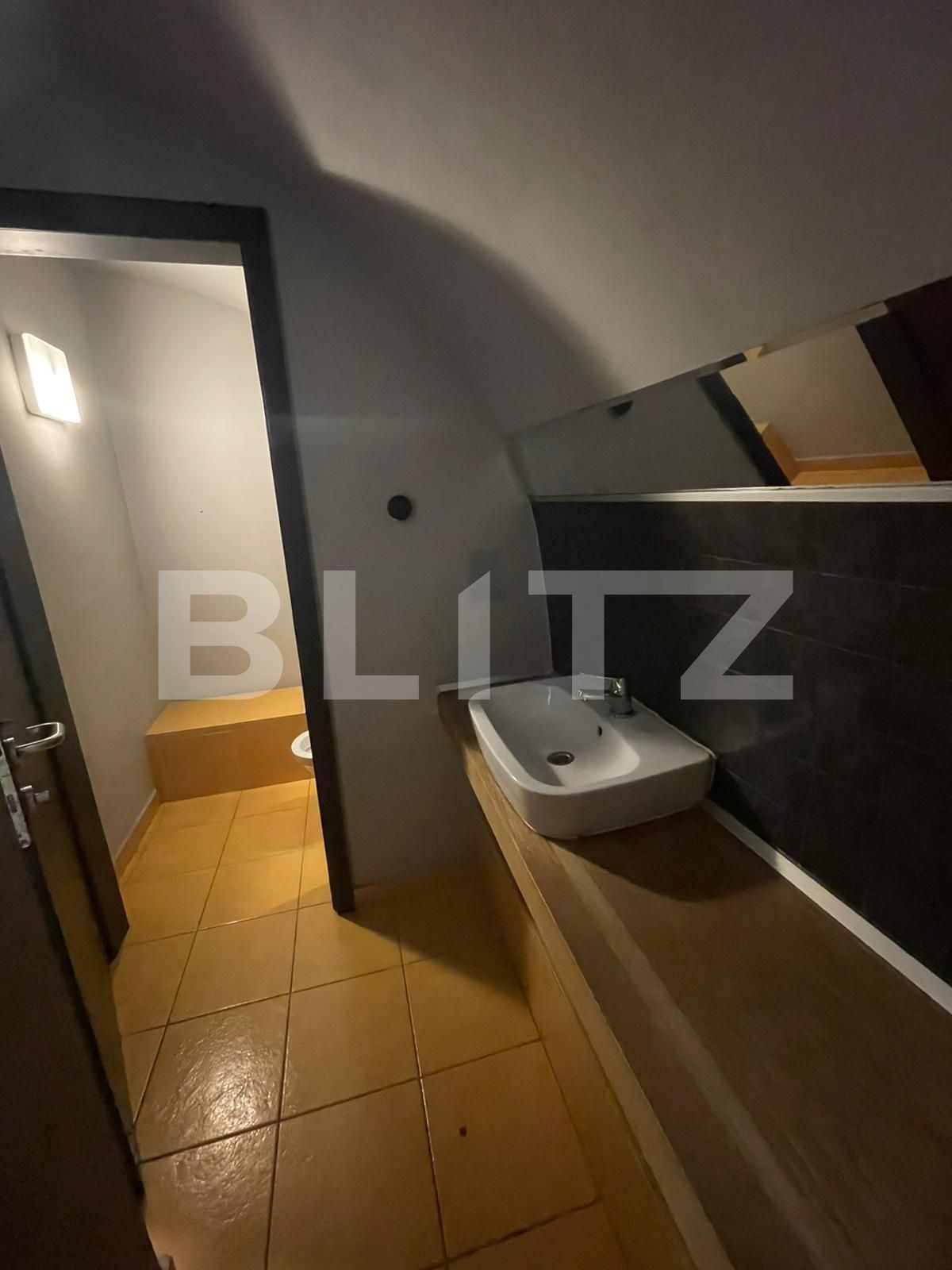 Spațiu comercial de închiriat Central - 120355SIC | BLITZ Timișoara | Poza11