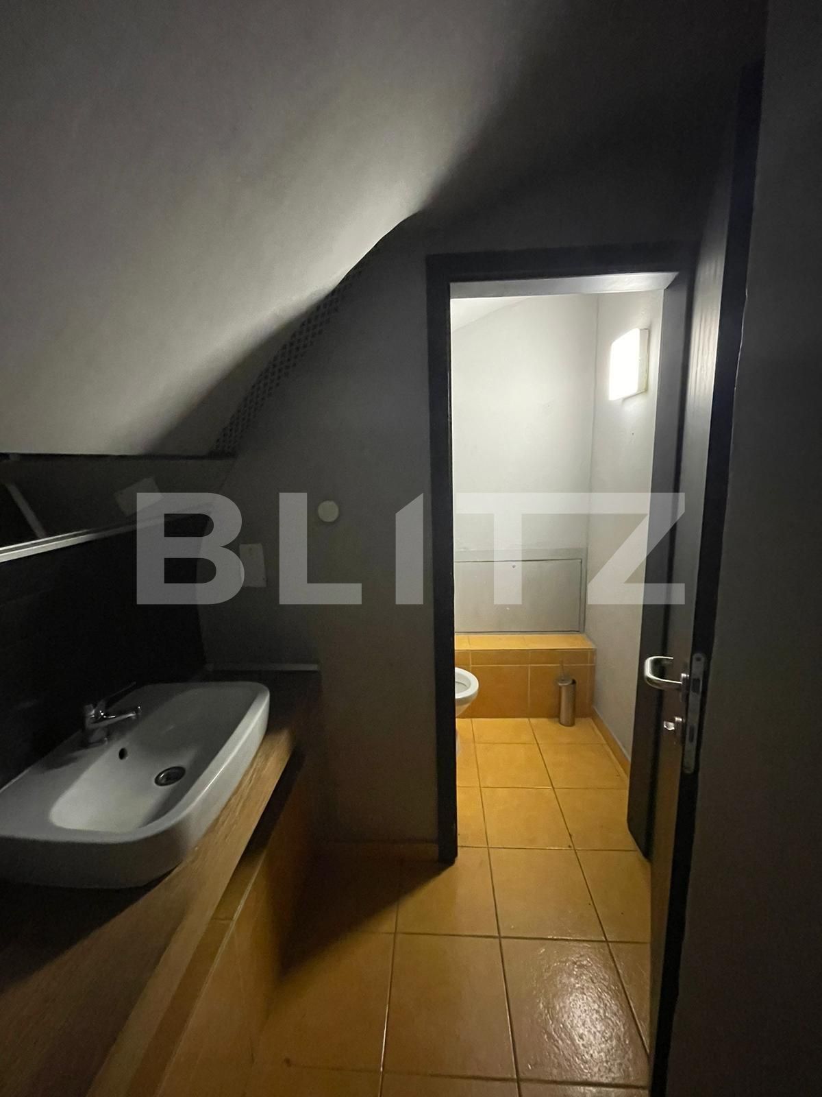 Spațiu comercial de închiriat Central - 120355SIC | BLITZ Timișoara | Poza10