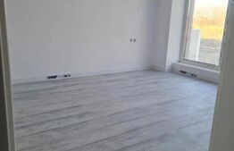 Apartament 1 camera 37 mp, Braytim