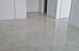 Apartament 1 camera 37 mp, Braytim