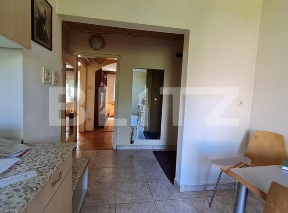 Apartament de vânzare 4 camere Bucovina - 120532AV | BLITZ Timișoara | Poza7