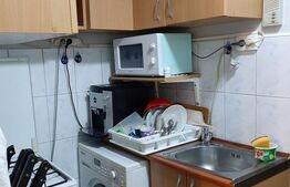 Garsoniera, 22 mp, Buziasului