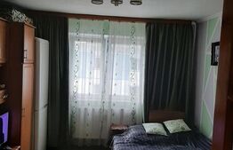 Garsoniera, 22 mp, Buziasului