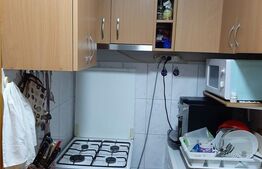 Garsoniera, 22 mp, Buziasului