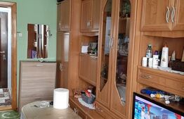 Garsoniera, 22 mp, Buziasului