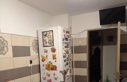 Apartament 2 camere, 51 mp, Lipovei