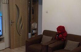Apartament 2 camere, 51 mp, Lipovei