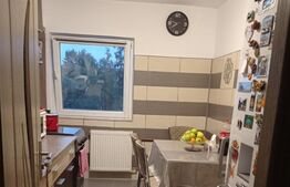 Apartament 2 camere, 51 mp, Lipovei