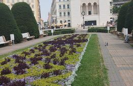 Afacere la cheie de tip restaurant, 180mp, Central