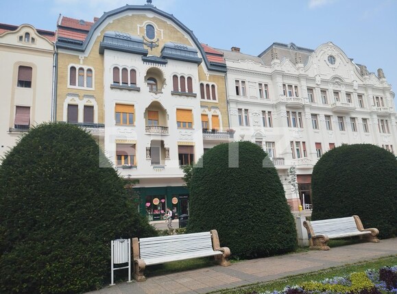 Spațiu comercial de vânzare Central - 120660SVC | BLITZ Timișoara | Poza1