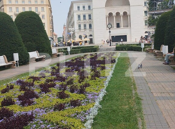 Spațiu comercial de vânzare Central - 120660SVC | BLITZ Timișoara | Poza3