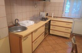 Apartament 2 camere, 55 mp, parter, zona Lipovei