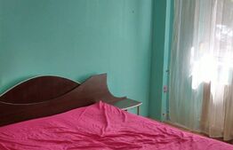 Apartament 2 camere, 55 mp, parter, zona Lipovei