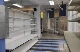 Spatiu comercial, 140 mp + 80 mp depozitare, zona Lipovei