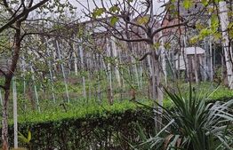 Casa individuala 3 camere, 291 mp, Girocului