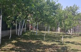 Casa individuala 3 camere, 291 mp, Girocului