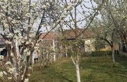 Casa individuala 3 camere, 291 mp, Girocului