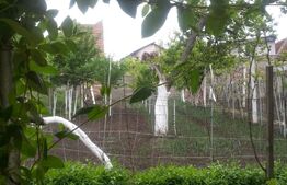 Casa individuala 3 camere, 291 mp, Girocului