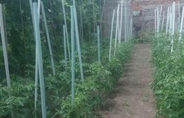 Casa individuala 3 camere, 291 mp, Girocului