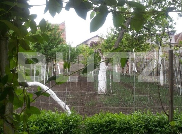 Casa de vânzare 3 camere Girocului - 121318CV | BLITZ Timișoara | Poza8