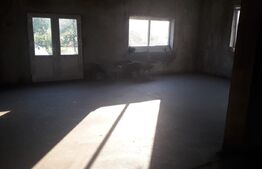 Casa 4 camere, 560 mp, Vinga