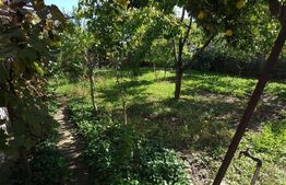 Casa 4 camere, 380 mp, zona Ronat 