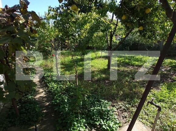 Casa de vânzare 4 camere Ronat - 121394CV | BLITZ Timișoara | Poza4