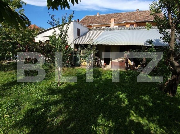 Casa de vânzare 4 camere Ronat - 121394CV | BLITZ Timișoara | Poza3