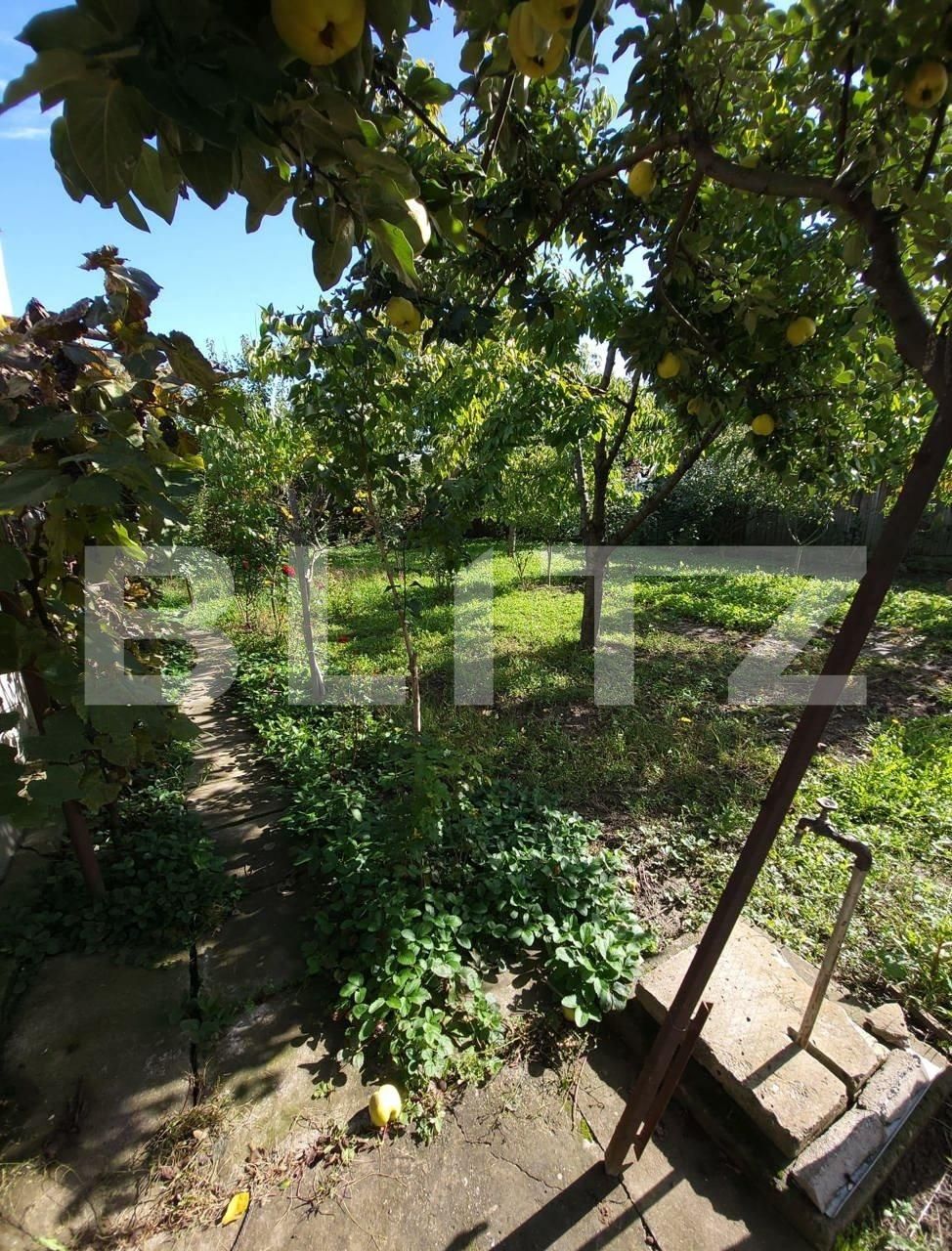 Casa de vânzare 4 camere Ronat - 121394CV | BLITZ Timișoara | Poza4