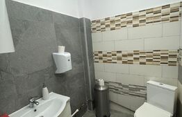 Carmangerie, 142 mp, zona Piata Girocului