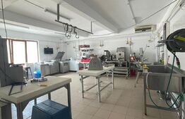 Carmangerie, 142 mp, zona Piata Girocului