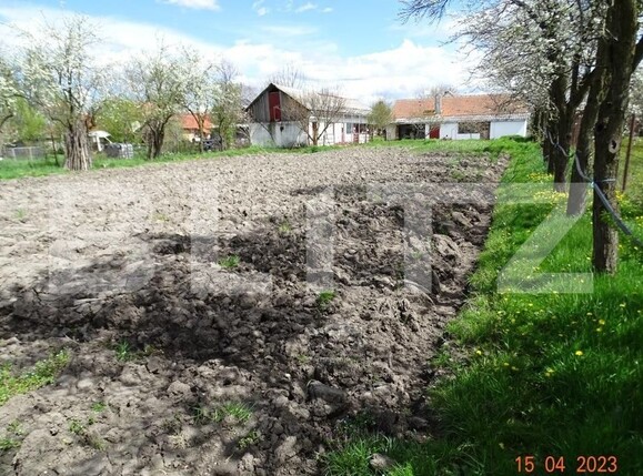 Casa de vânzare 3 camere Exterior Est - 121420CV | BLITZ Timișoara | Poza3