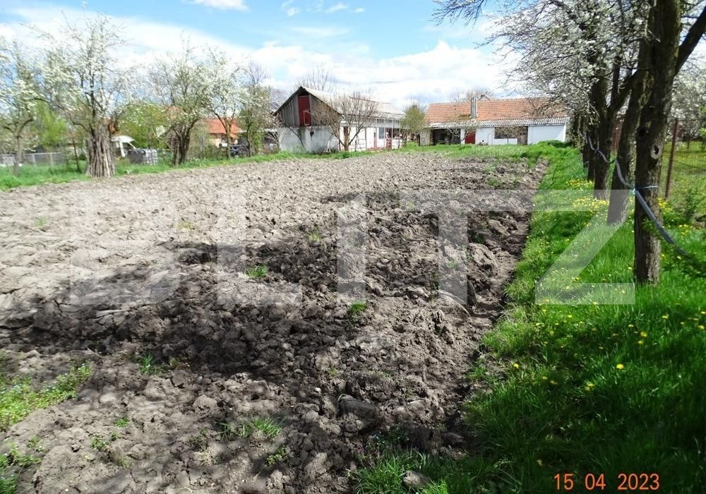 Casa de vânzare 3 camere Exterior Est - 121420CV | BLITZ Timișoara | Poza3