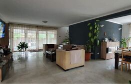 Casa 4 camere, 170 mp, Exterior Sud-Vest