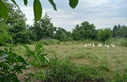 Casa 4 camere, 186 mp, Nord