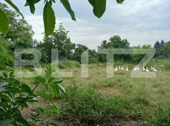 Casa de vânzare 4 camere Fibis - 121460CV | BLITZ Timișoara | Poza3