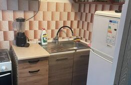 Garsoniera, 22 mp utili, Calea Buziasului 