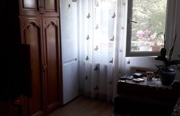 Apartament cu o camera, 22 mp, semidecomandat, Vest II