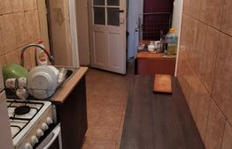  Apartament, curte, 2 camere, 65mp, Iosefin