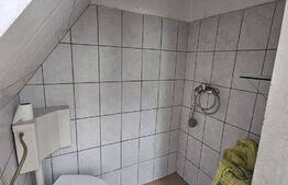 Apartament cu 2 camere, 40 mp, zona Iosefin
