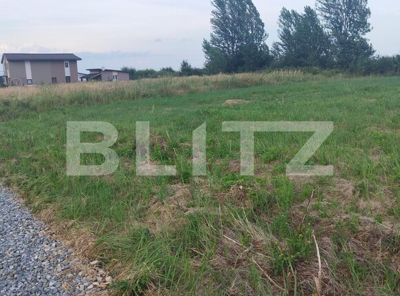 Teren de vânzare Sag - 121678TV | BLITZ Timișoara | Poza1