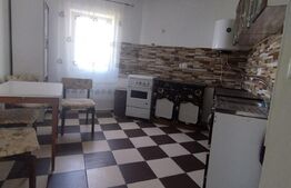 Apartament 2 camere, renovat, 55mp, zona Central