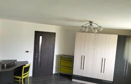 Apartament 2 camere, renovat, 55mp, zona Central